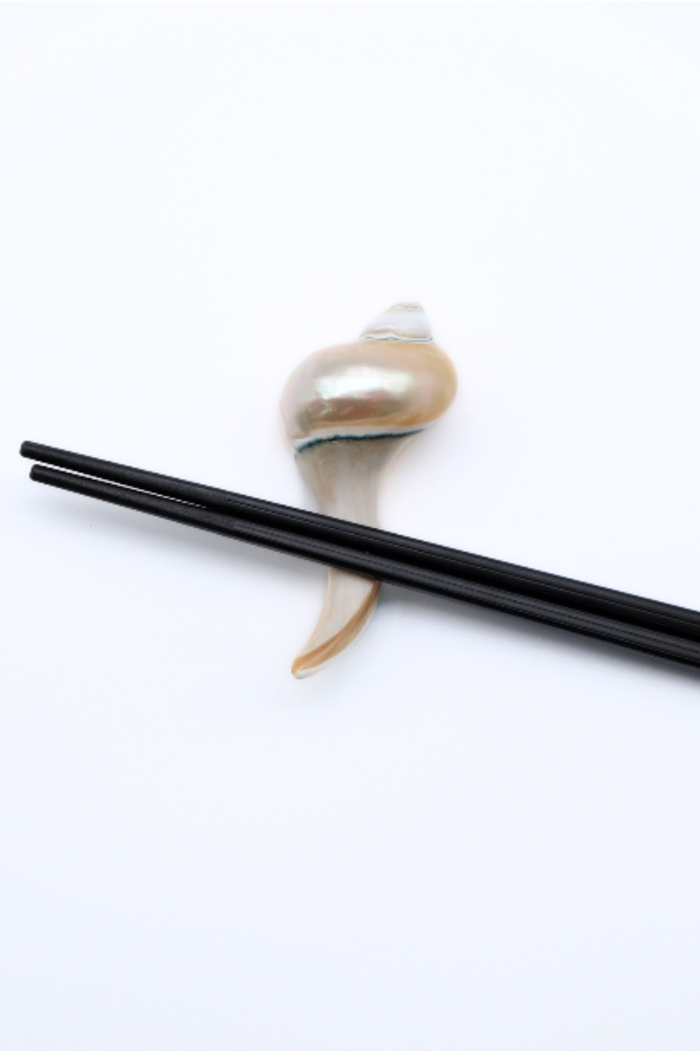 Seashell Chopstick Rest
