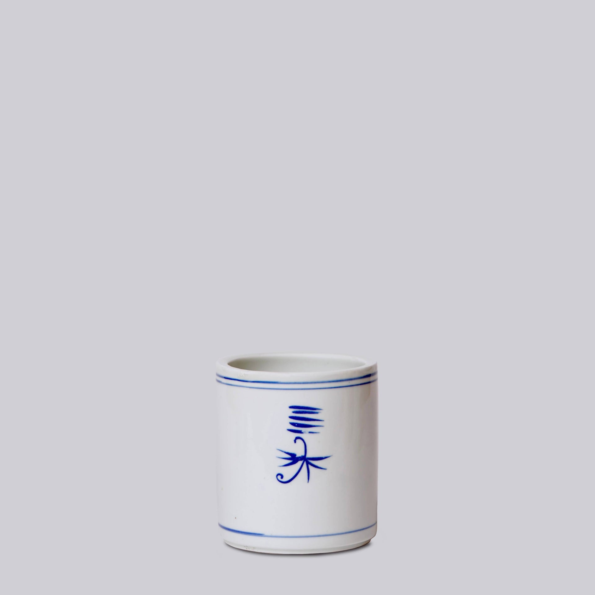 Blue and White Porcelain Peony Cachepot